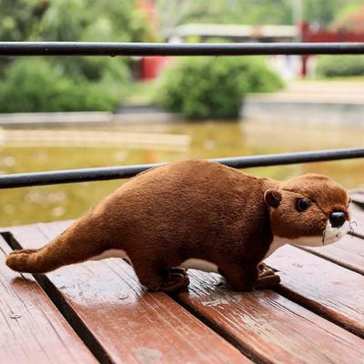 Bebek ve Peluş Oyuncaklar – Doldurulmuş ve Peluş oyuncak hayvanlar