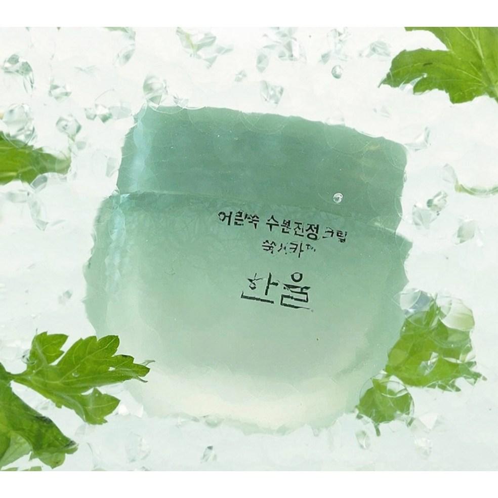 Hanyul Artemisia Feuchtigkeitsberuhigende Creme 55ml
