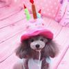 Hundehut Verstellbare Cord Süße Haustiere Hunde Katzen Geburtstagshüte Bunte Kerzen Kostüm Kopfbedeckung Welpen Katzen Cosplay