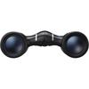 Nikon Aculon T02 10x21 Roof Prism Binoculars, 10x Magnification, 21mm Objective Lens, Black ACULON ACT0210X21BK