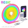 Gaming Room RGBIC Neon LED Strip Lights USB 5V Flexible Waterproof Rope with APP Bluetooth Music Sync DIY Desk Wall Ambient Lighting