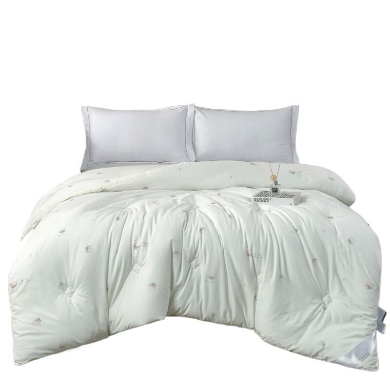 BAIWEISI Snow Cotton Warm Winter Quilt