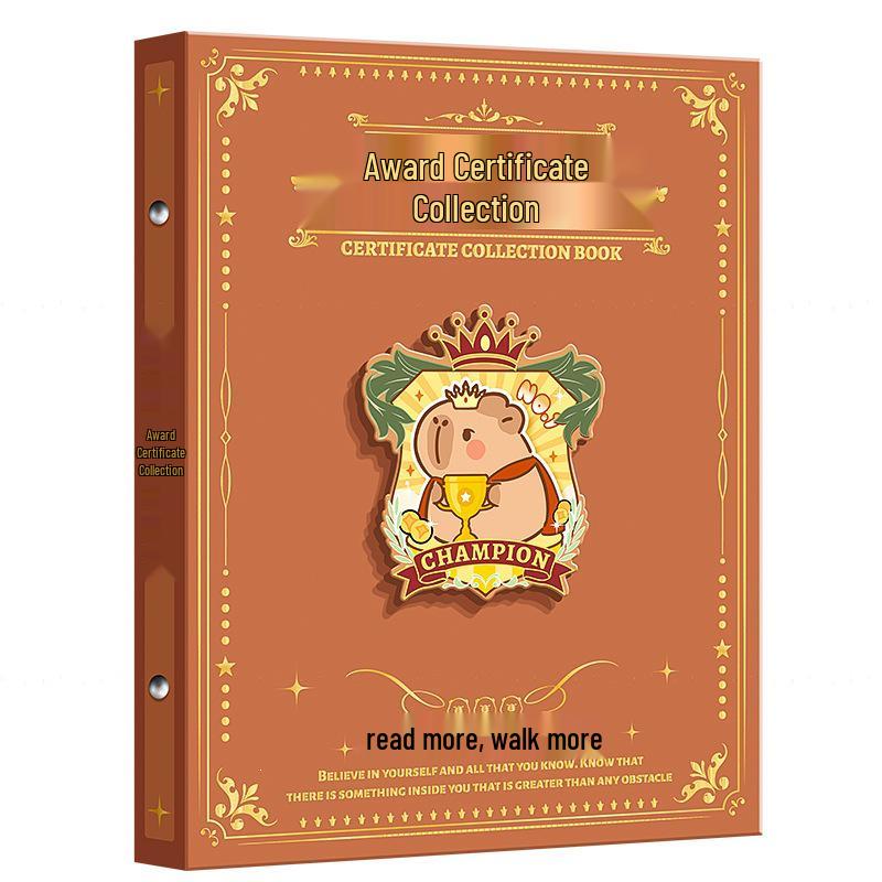 Child's Award & Art Certificate Album - A3/Boy & A4/Girl Transparent Loose-Leaf Storage