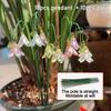 10pcs Garden Decorative Ground Stakes with Lily Pendant, Suitable for Outdoor Potted Plants And Flower Pot Landscapes Decoration