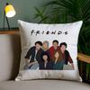 Classic F-Friends Tv Show Pillow Case Custom Printed Brushed Fleece Pillow, Baby Skin-Touch, Eco-Friendly Dye-Sublimation Cushio