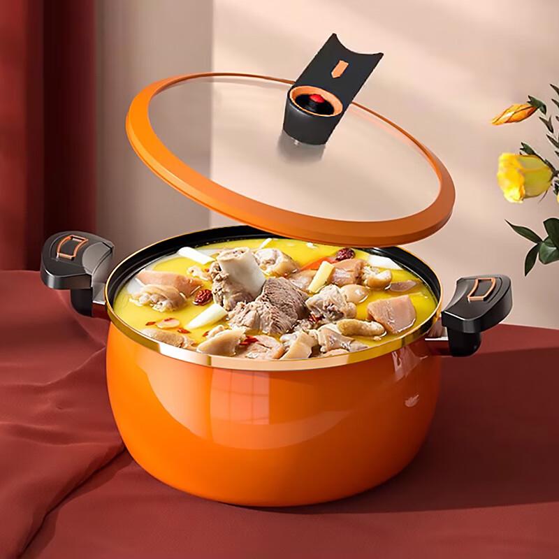 Zhaiqingsong Multi-Purpose Stew & Soup Pot