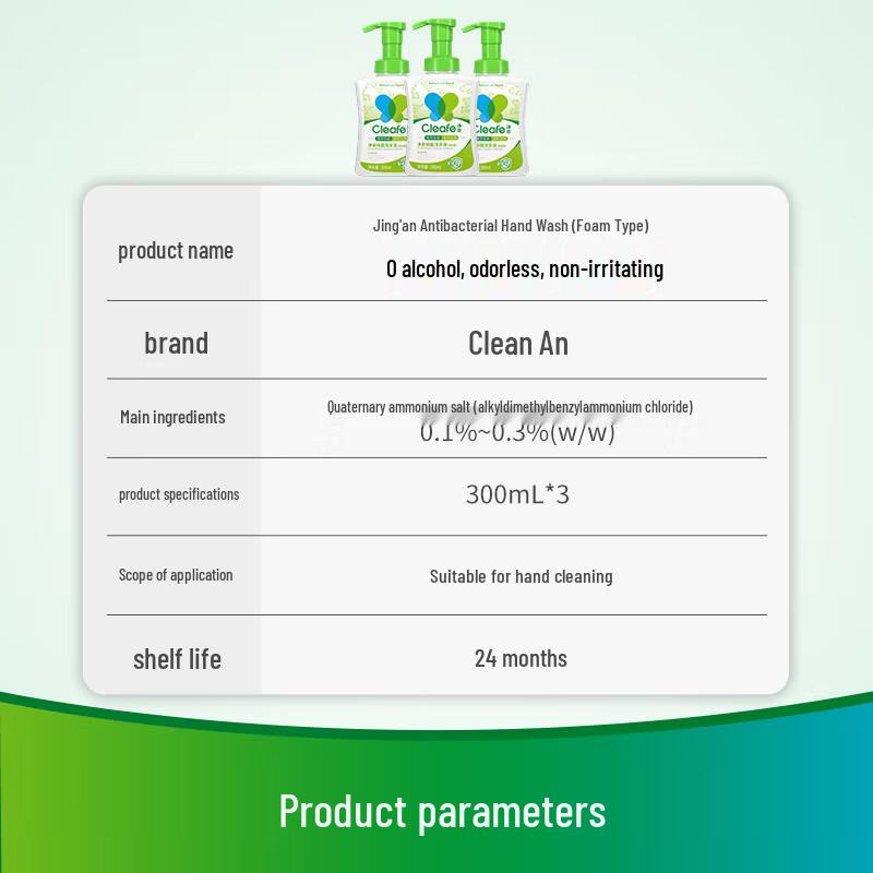 Jingan Foaming Antibacterial Hand Soap - Family Pack