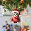 Holiday Hanging Decorations Christmas Advent Calendar with 24 Acrylic Cat Ornaments, Countdown Decor Party Favors for Tree Backpack, Cute Kitten