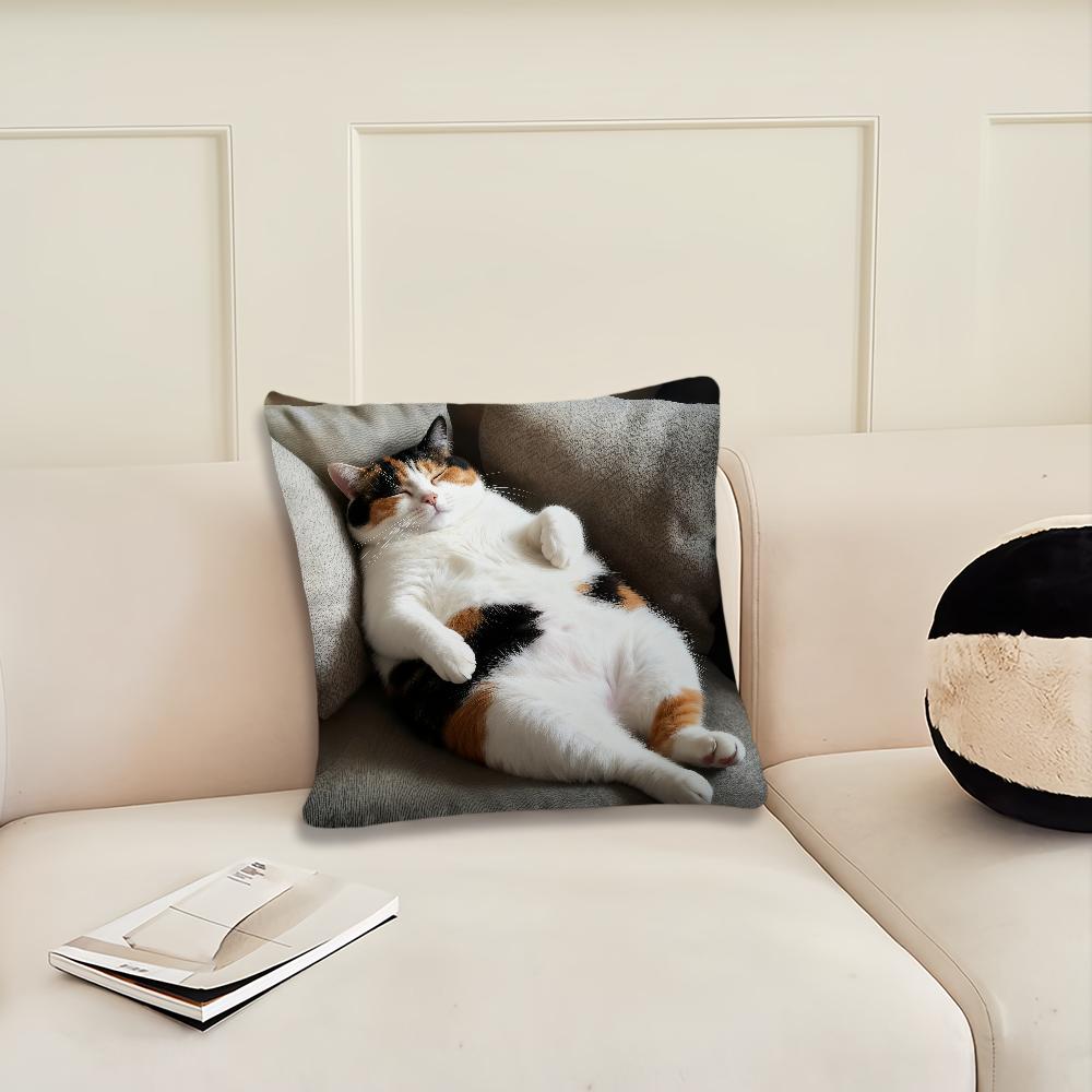 Funny cat cute sleep cushion cover Pillow Cover Decoration Room Home Sofa living Office Car Nordic Simplicity