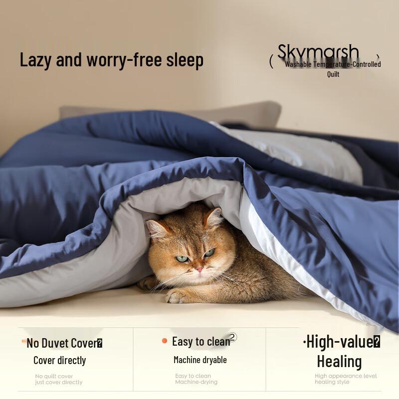 

Mercury Home Textiles All-Season Washable Temperature Control Quilt