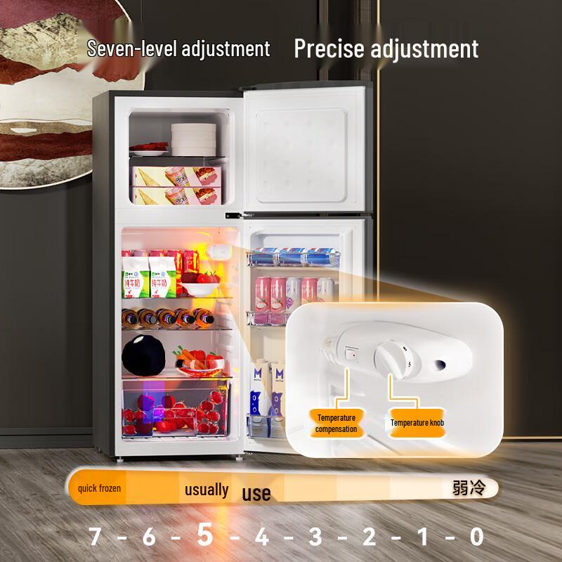 Royalstar Compact Two-Door Refrigerator