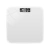 Rechargeable Precision Electronic Body Weight Scale