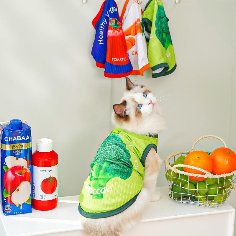 Spring and Summer New Dog Big Dog Bichon Frise Cat and Pet Clothing Cat and Dog Clothes