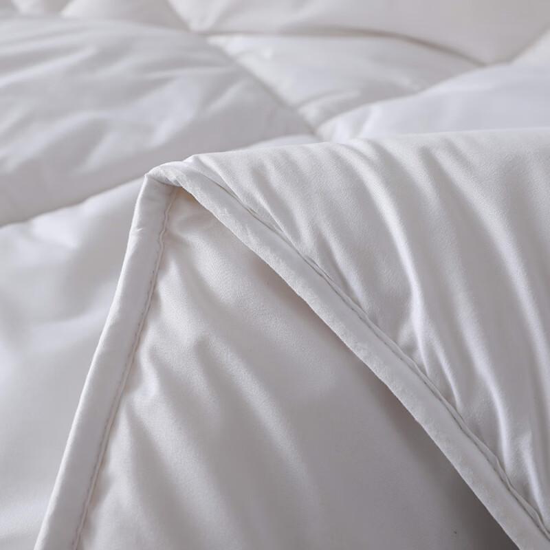 MINISO Bordeaux Washable Wool Duvet