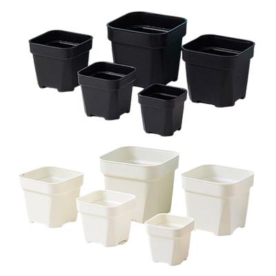 Namų dekoras – Dekoratyviniai gėlių vazonai