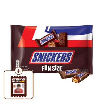 Snickers Erdnuss Fun Size 500G