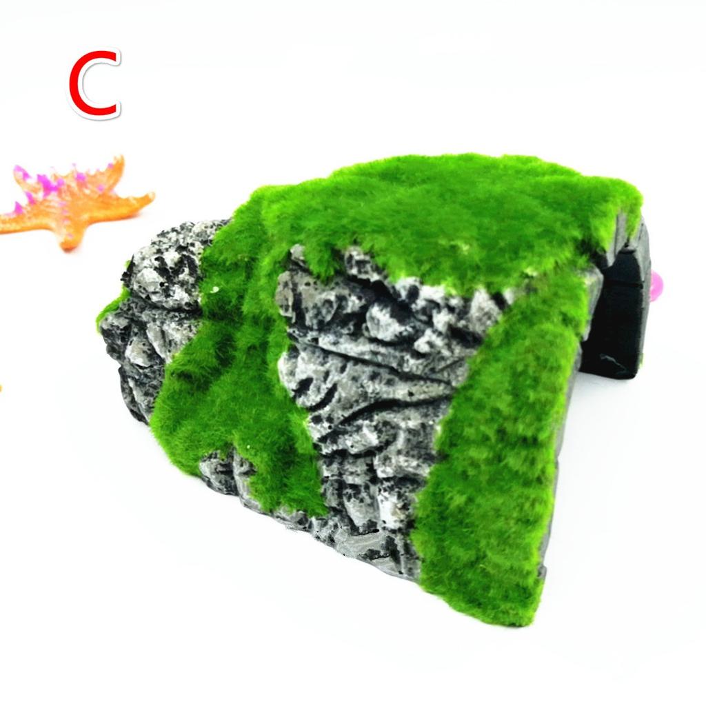 Reptilien-Box-Schildkröte, die das Nest vermeidet, Höhlenlandschaft, Spinnenschildkröte, realistische Mooshöhle, Beflockung Tur