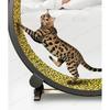 Pet Cat Treadmill Silent Roller Cat Treadmill Pet Exercise and Fitness Equipment Large Cat Climbing Frame Pet Running Toys