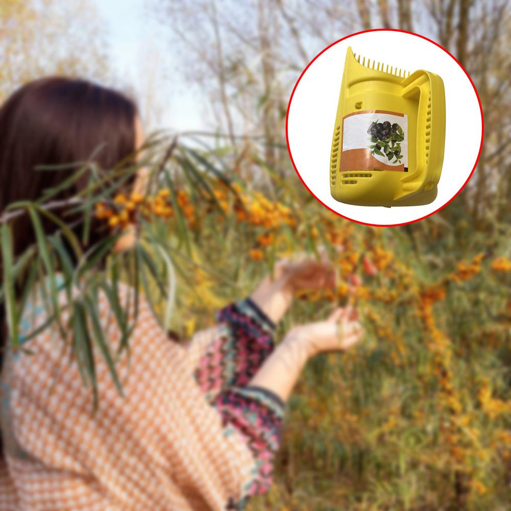 Kunststoff Beere Kirsche Obstpflücker Rechen Ernte Gartenkamm Gartenwerkzeug Blaubeerpflückwerkzeug Obstkorb