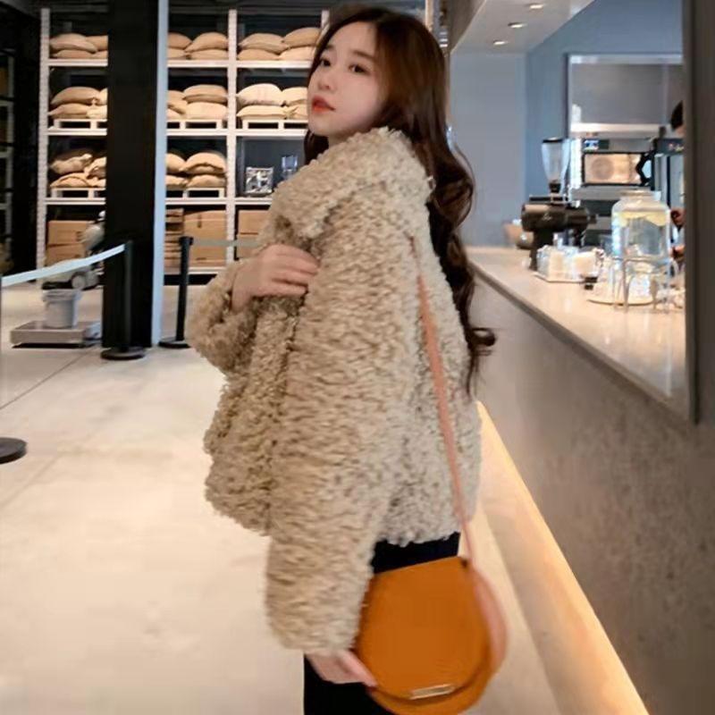 Lamb wool imitation fur jacket autumn and winter fashion warm short wool sweater casual socialite small