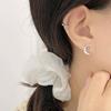 Moon Pearl Earrings Exquisite Temperament Light Luxury High-end Earrings Earrings Niche Design