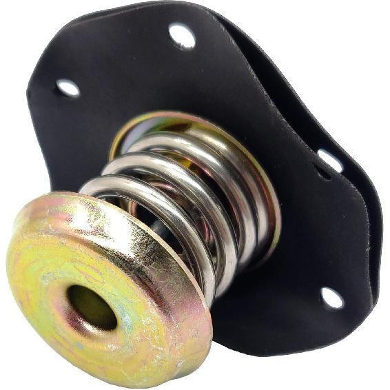 

TPi Fuel Pressure Regulator Diaphragm for 1985-1995 Chevy Corvette Camaro Cavalier Celebrity Pontiac Firebird Buick Cadillac Oldsmobile 17110851