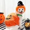 Funny Halloween Dog Costume Pumpkin Lantern Transformation Outfit with Cute Pumpkin Hat Two-Legged Pet Jacket for Dogs And Cats