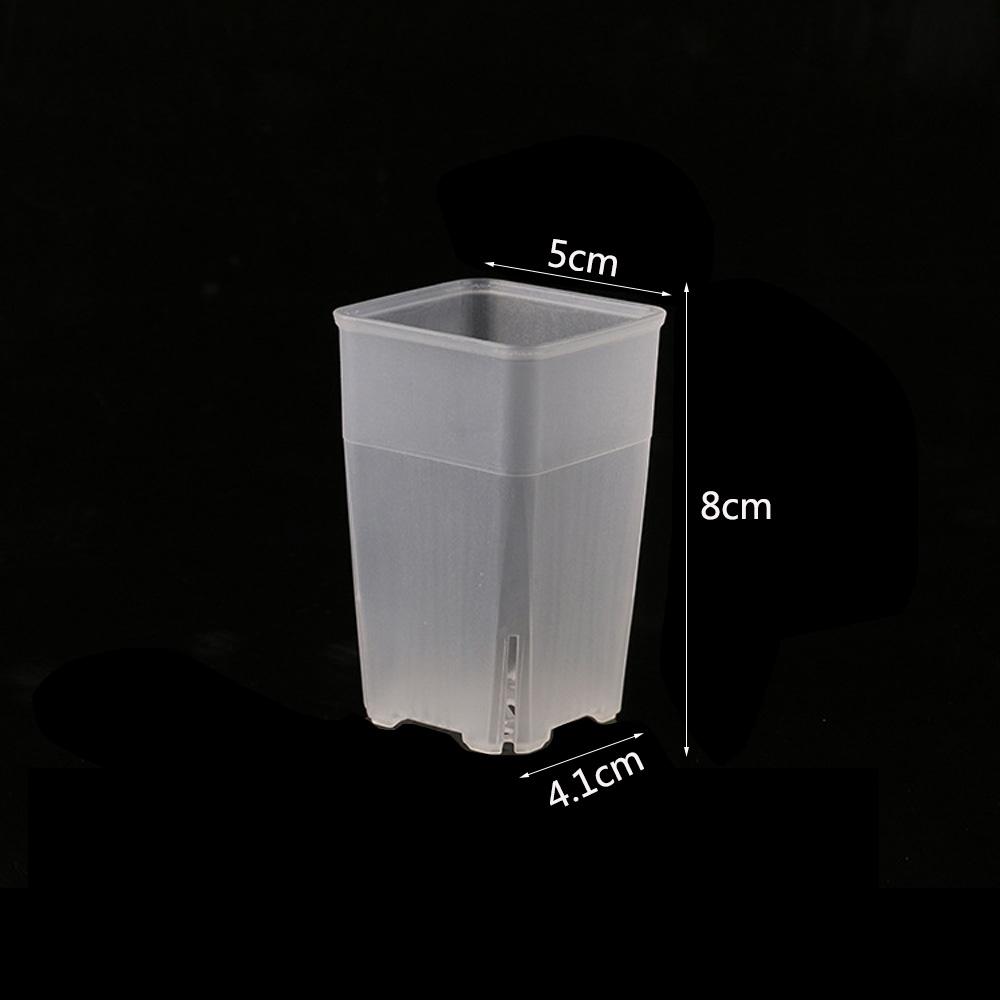 Square Meaty Flower Plastic Transparent Pot Breathable Bonsai Plant Pot Desktop Decoration For Garden Yard Living Room Balcony