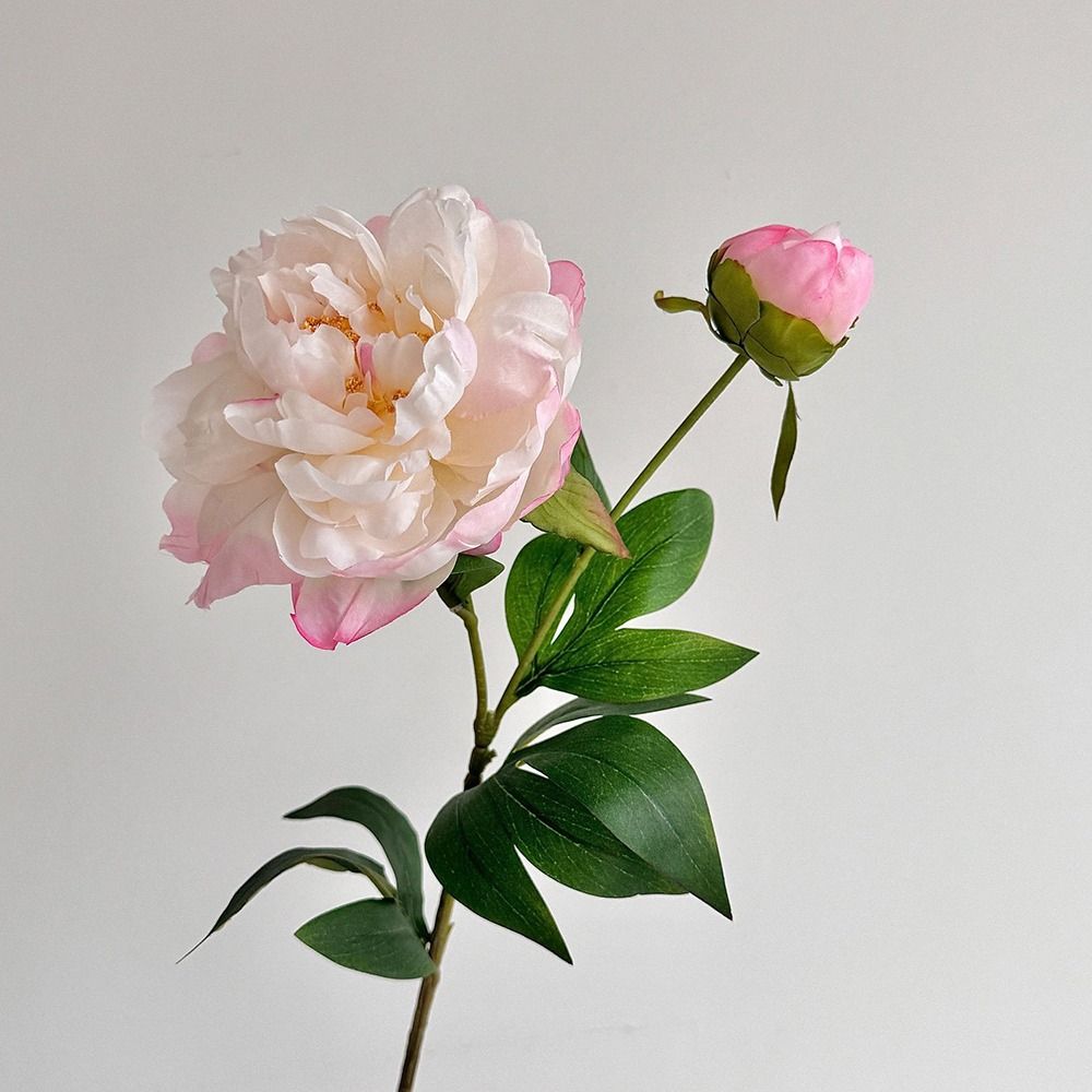 DIY 2-köpfiger künstlicher Pfingstrosenstrauß Seidenstoff Lebensechte Pfingstrosenblütenbündel Seiden-Kunstblumen Fotografie-Requisite