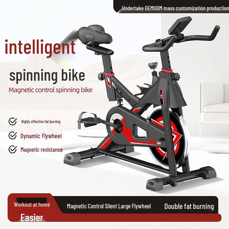 Shock-Absorbing Indoor Exercise Bike with Magnetic Control