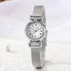 Fashion Simple Vintage Women Quartz Watch Roman Small Dial Elegant Ladies Wristwatch Classic Steel Mesh Band Watches Reloj Mujer