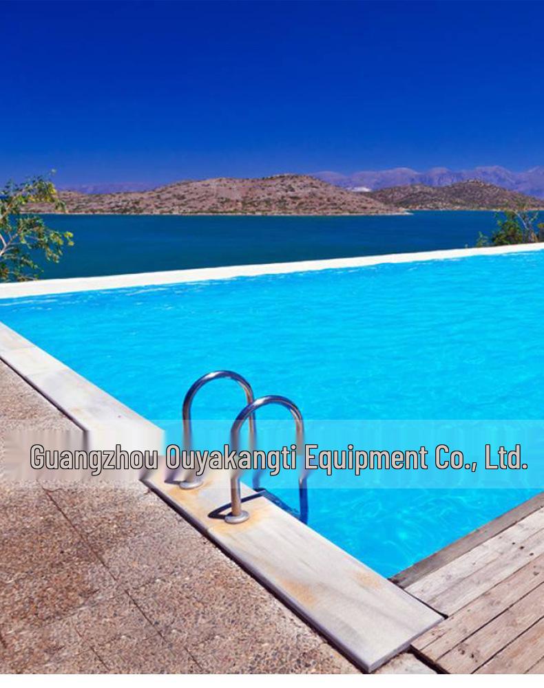 304 Stainless Steel Pool & Hot Spring Entry Ladder with Handrail