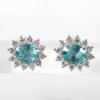 Pt900 Apatite Paraiba Color/Diamond Earrings/j23-4