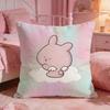 Asamimichaan AAsleeps Cute Cushion Cover Premium Comfort Reversible Pillow Cove Two In One Design For Any Room  Car Interior