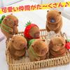 Leap Raupe Capybara Plush Frog 20cm