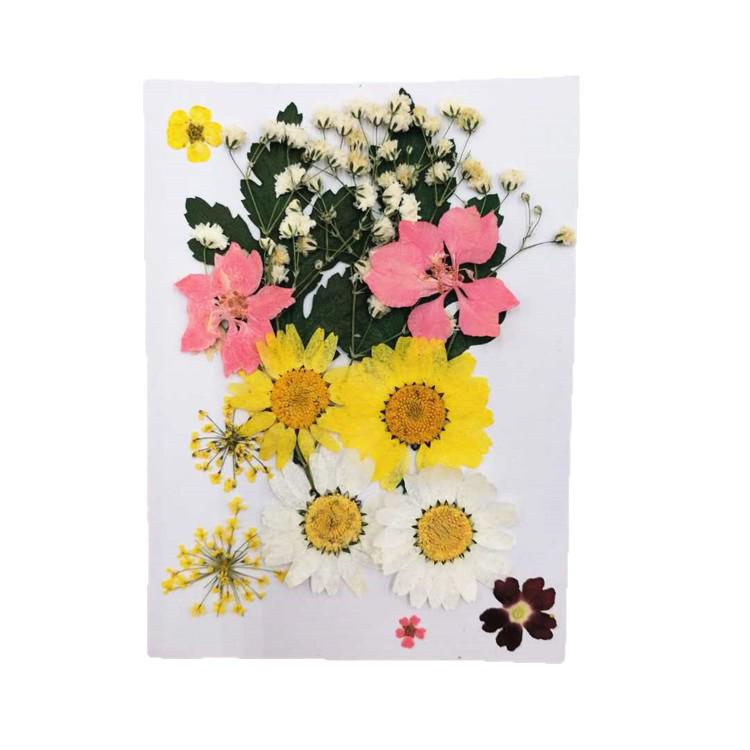 Pressed Dried Flower DIY Kit: Bookmark, Resin, & Phone Case Embossing Materials
