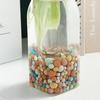500g Billes d'Argile Litière de Terrarium Couche de Drainage Billes d'Argile Couverture de Terreau pour Plantes Billes pour Pots de Plantes Succulentes Plantes en Pot Hydroponie