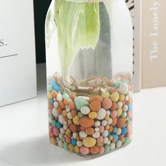 500g Billes d'Argile Litière de Terrarium Couche de Drainage Billes d'Argile Couverture de Terreau pour Plantes Billes pour Pots de Plantes Succulentes Plantes en Pot Hydroponie