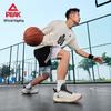 Peak TaiChi LanQie 3.0 Men's Basketball Shoes