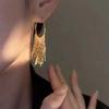1 Pair Tassel Earrings, Long Temperament Earrings, Versatile And Fashionable Ear Accessories