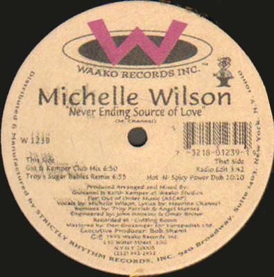 12inch Record MICHELLE WILSON - Never Ending Source Of Love WR1239 Waako Records 1995 US Dance & Electronica Used