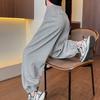 Gray Corset Sweatpants Women's Spring New High Waist and Thin Wide Legs Loose Harlan Casual Sweatpants