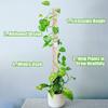Moss Poles for Climbing Plants - Stackable Plastic Plant Pole Plant Sticks Sphagnum Moss Pole for Climbing Plant Support