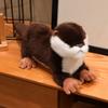 Peluche lontra di simulazione, animali di peluche carini, lontre soffici, bambole peluche, anime, kawaii, morbido, giocattoli da compagnia per bambini e neonati