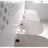Urinal Flush Valve,Toilet Urinal Flush Valve Wall Mounted Button Type with 0.8Gpf Manual Automatic Shutoff Flush Valve (1)