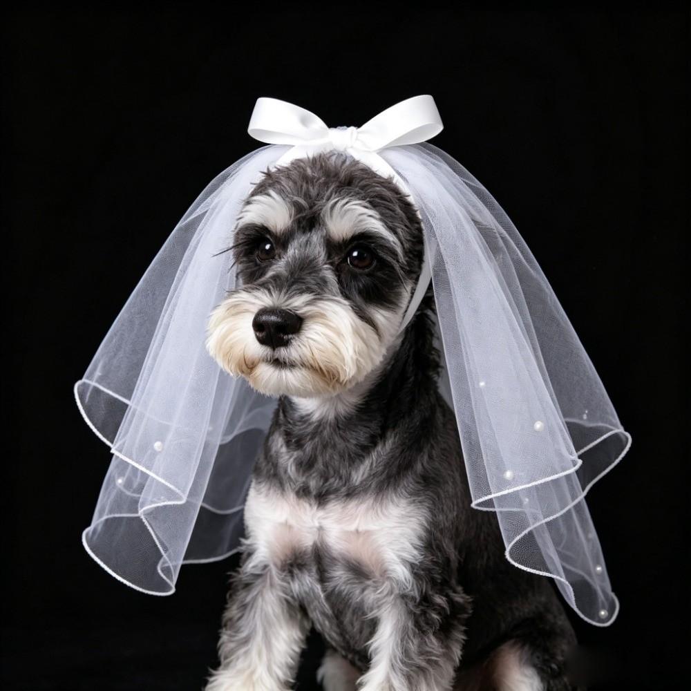 Voal Panglică Pisică Neagră Costum Mireasă Cățel Alb Accesorii Păr Câine Produse Animale de Companie
