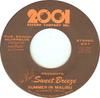 Disco de 7 polegadas SWEET BREEZE Summer In Malibu Two Faces Have I 805125 1978 US Rock Usado