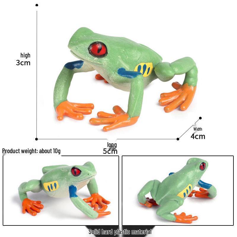 Children s Amphibian Frog Models: Cognitive Science Education & Rainforest Decoration