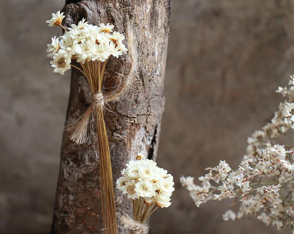 Dry Flower Wedding Party Essential Decorations For Home Home Décor Accents DIY-friendly Pressed Flowers For Party Floral