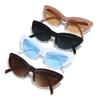 Eyewear 11063 Fashion Classic Women Cat Eye Sunglasses